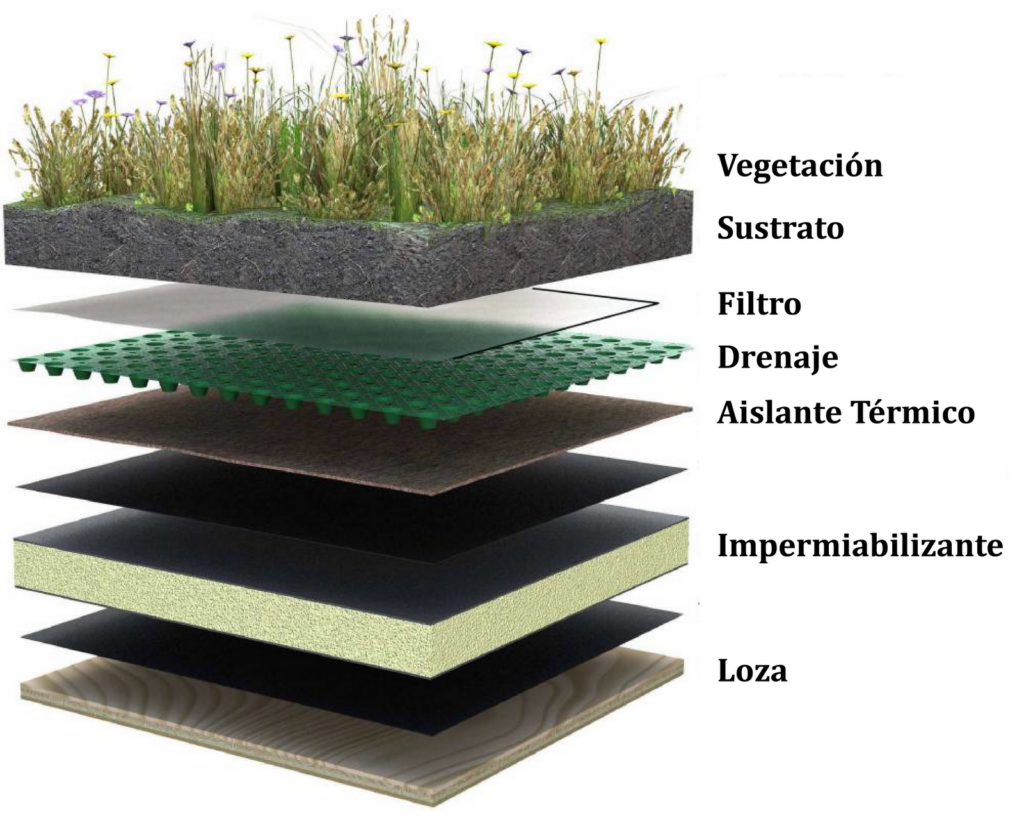 How thick is a green roof in mm?