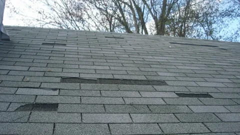 What Happens to a Roof Without Shingles?