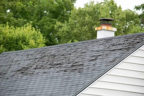 Will a Roof Leak Without Shingles?