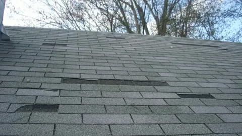 Do You Need Shingles on the Roof?