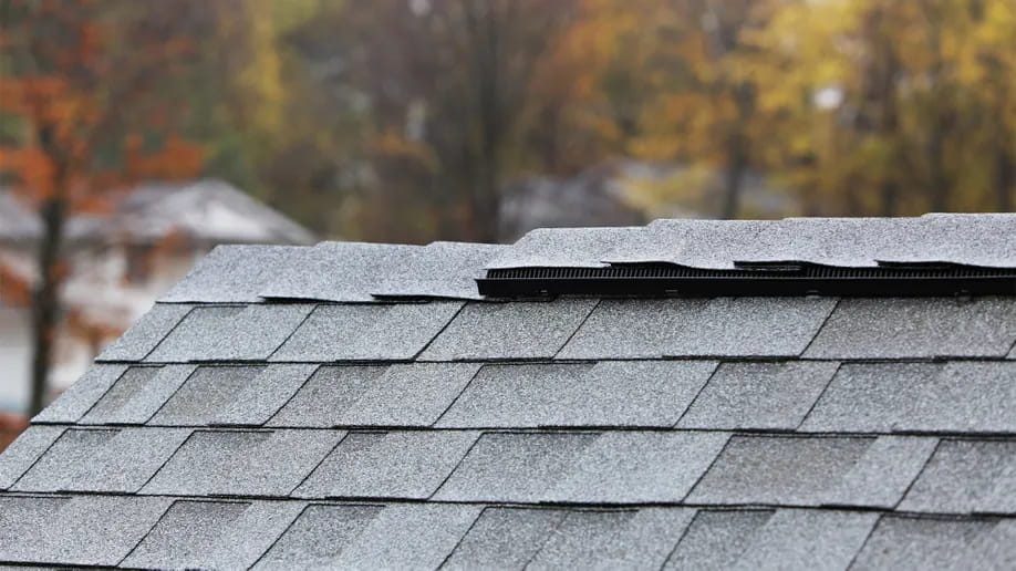 What Is the Problem with Shingles on a Roof?