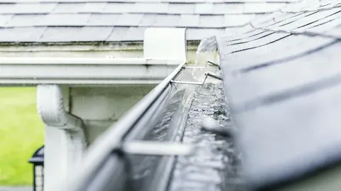 How often should you clean roof gutters?