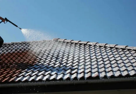 Roof Cleaning