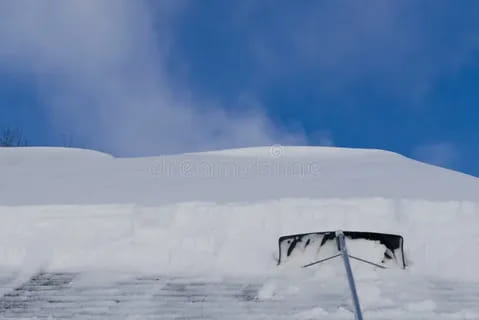 Best Roof Rakes for Snow Removal in 2026