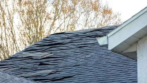Roof Repair in Edmonton: Signs You Shouldn’t Ignore